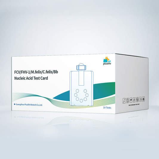 Cat Health: FCV/FHV1/M.felis/C.felis/Bb Nucleic Acid Test Card Feline Calicivirus/Feline Herpesvirus Type 1/Feline Mycoplasma/Feline Chlamydia/Bordetella Nucleic Acid Test Card